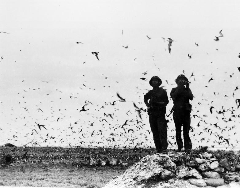 9 giờ ngày 29-4-1975, Quần đảo Trường Sa được hoàn toàn giải phóng